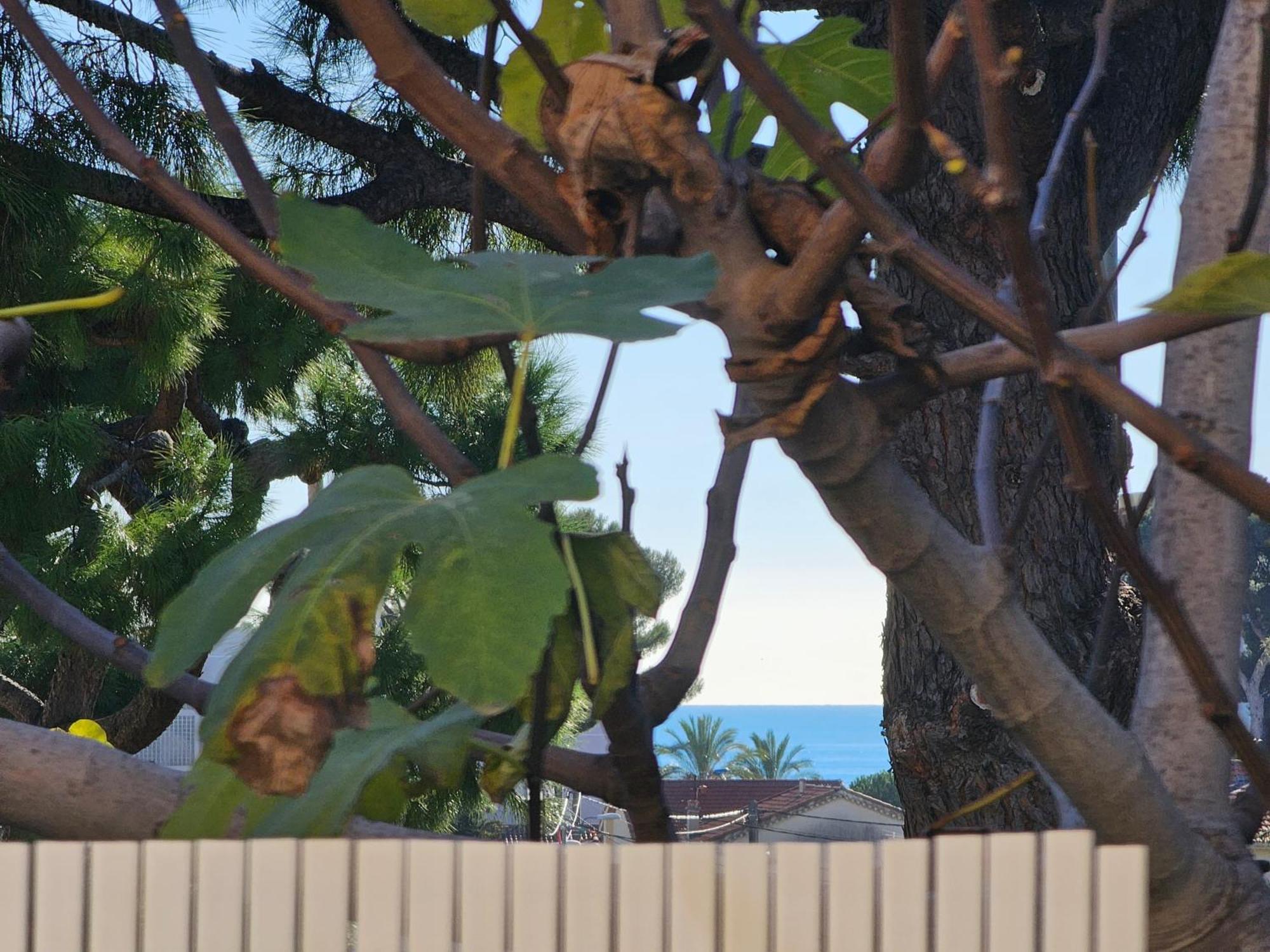 Detente Oceane S2 Proche De La Mer Wifi Clim Cagnes-sur-Mer Luaran gambar