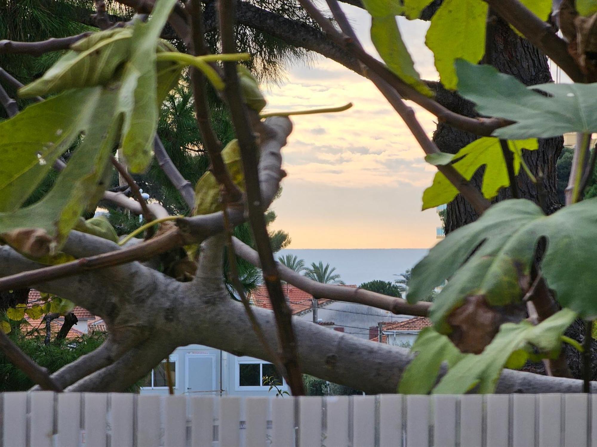 Detente Oceane S2 Proche De La Mer Wifi Clim Cagnes-sur-Mer Luaran gambar